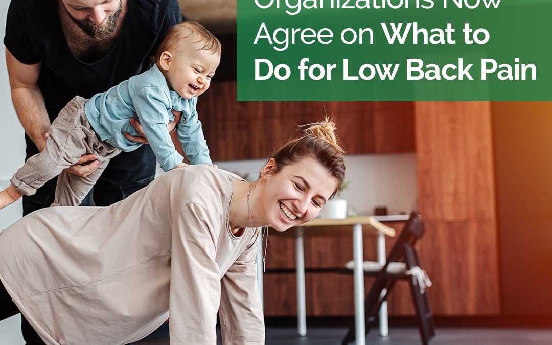 Low Back Pain: When To See A Chiropractor in The Villages
